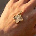 Foto Modelo Realista