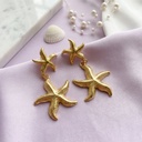 Foto Flatlay Boutique