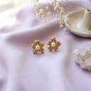 Foto Flatlay Boutique