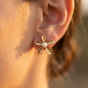 Foto Modelo Realista