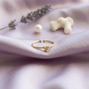 Foto Flatlay Boutique