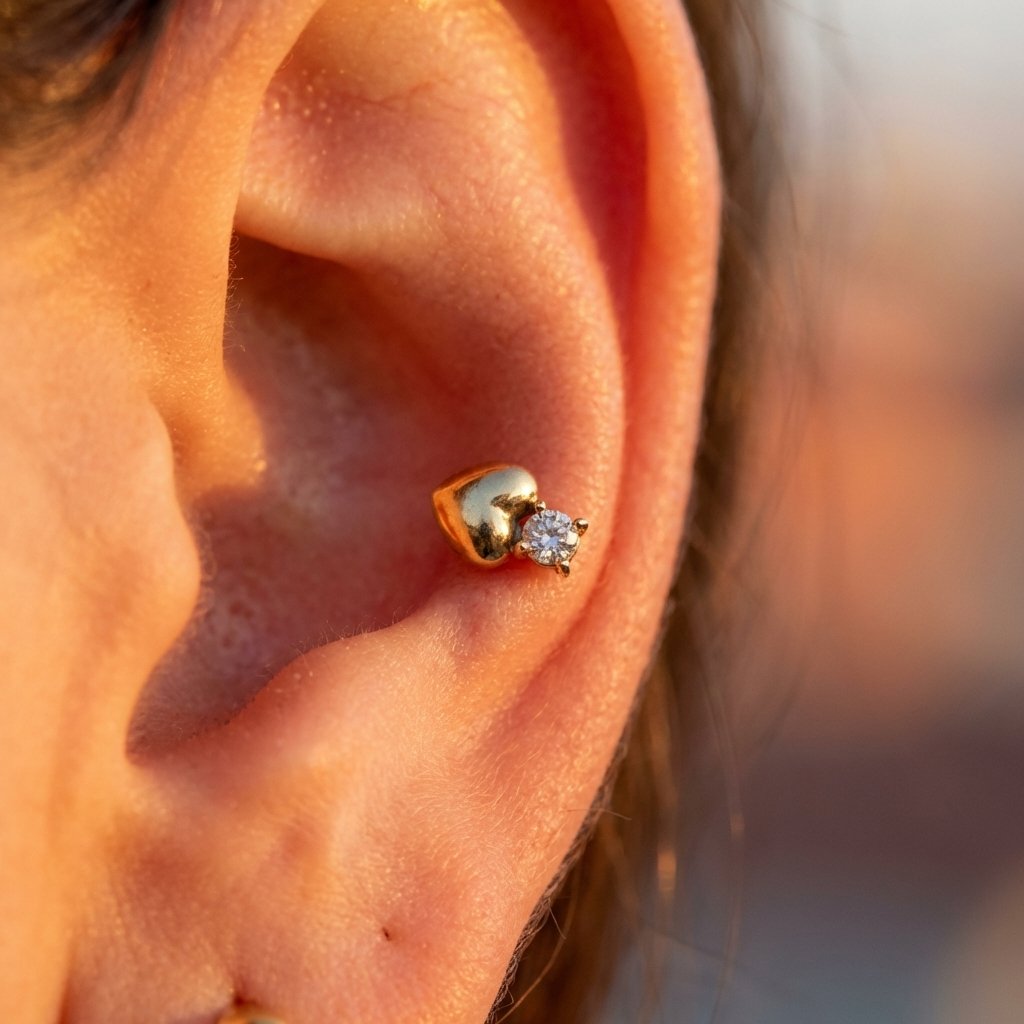 Foto Modelo Realista