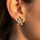 Foto Modelo Realista