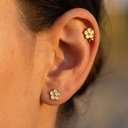 Foto Modelo Realista