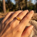 Foto Modelo Realista