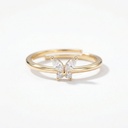 Anillo · AN-089