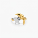 Anillo Acero inoxidable 304 · AN-881